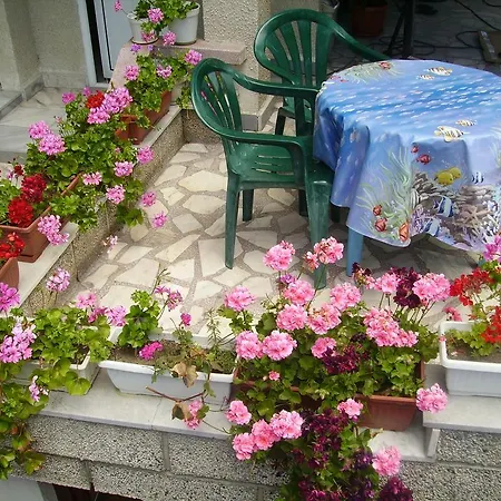 Zoya Dimitrova Szozopol